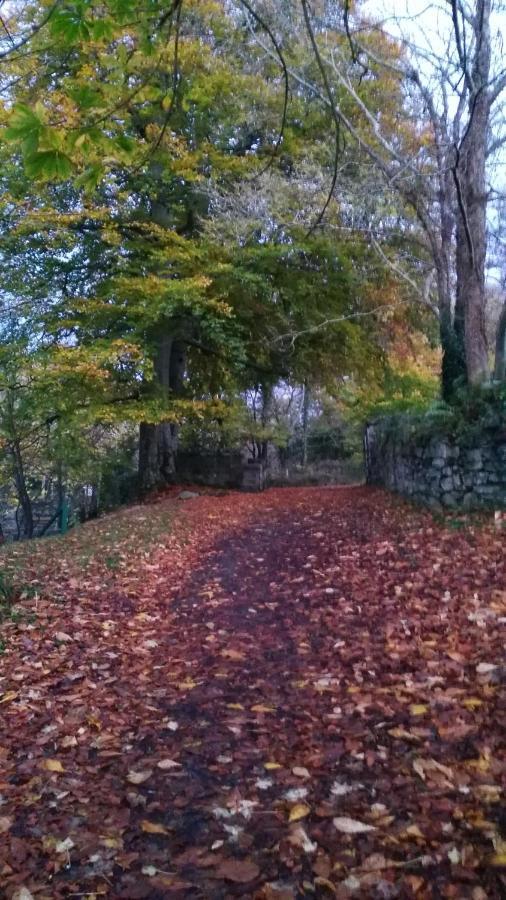 Mill Lane Buncrana Exterior foto